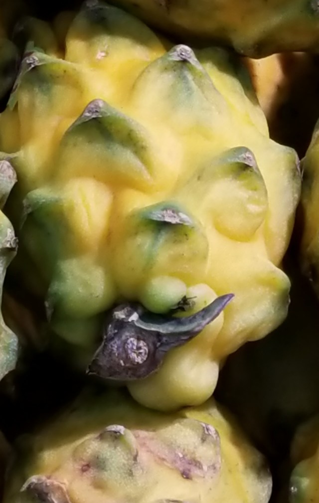 20171231_192353 (4).jpg