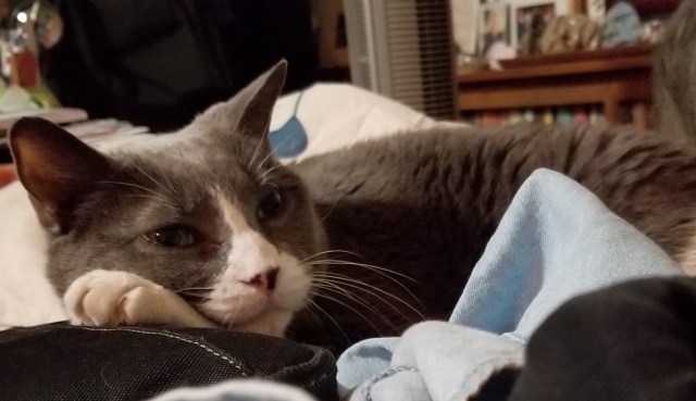 IMG-20180129-WA0003 (3).jpg