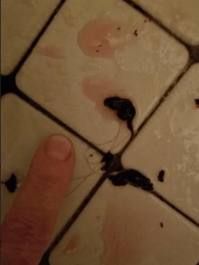 Screen shot 2018-11-11 at 3.16.20 PM.png