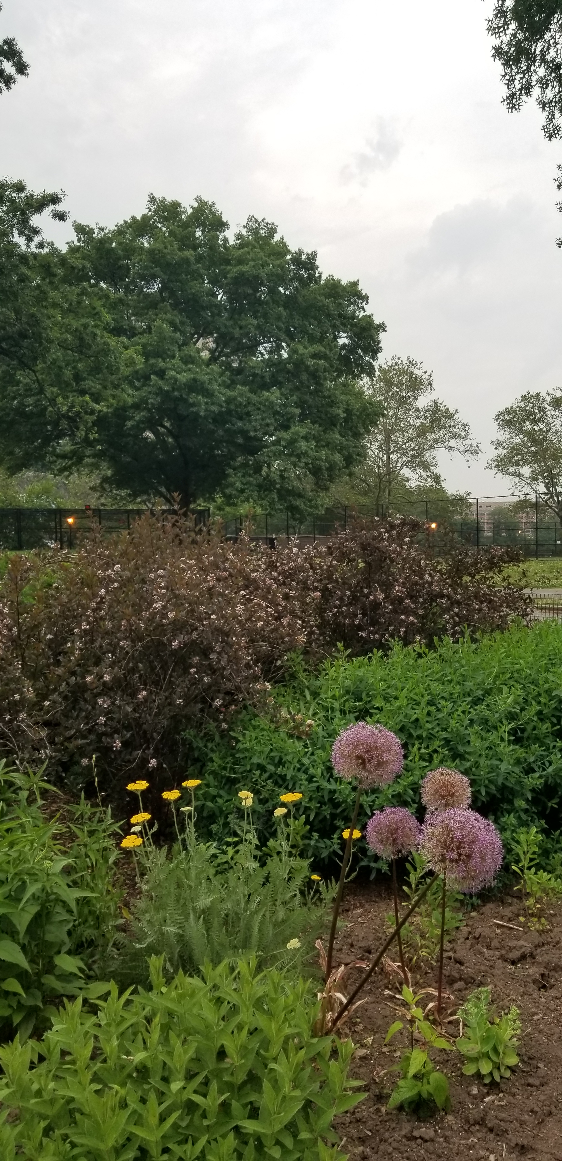 20190605_194753 (2).jpg