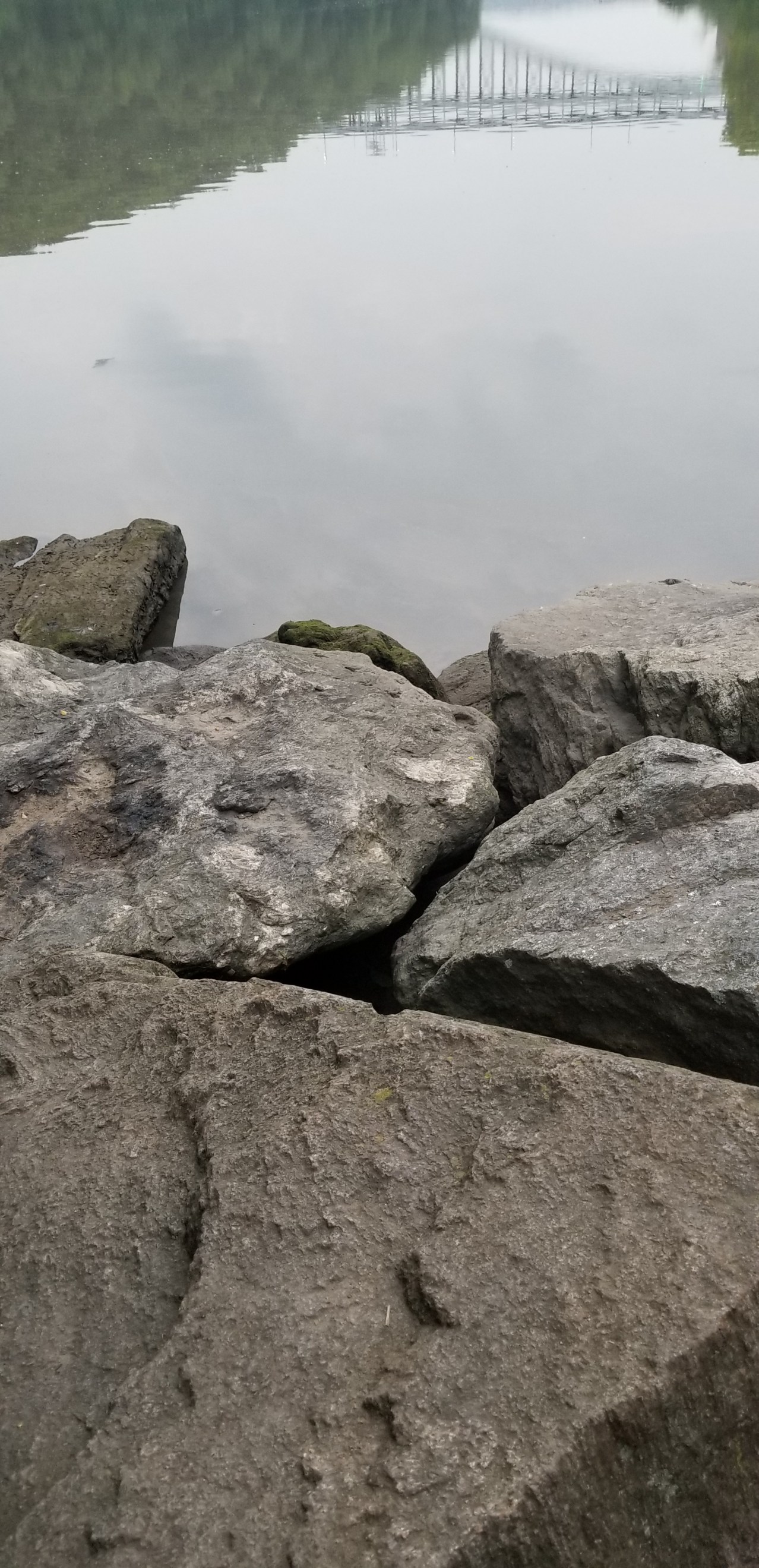 20190605_195305 (1).jpg