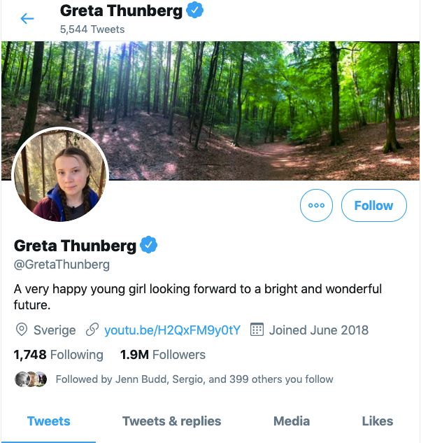 Greta twitter.jpeg