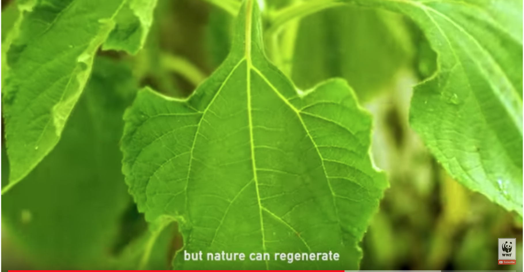 Screen Shot 2019-09-26 at 9.25.46 PM.png