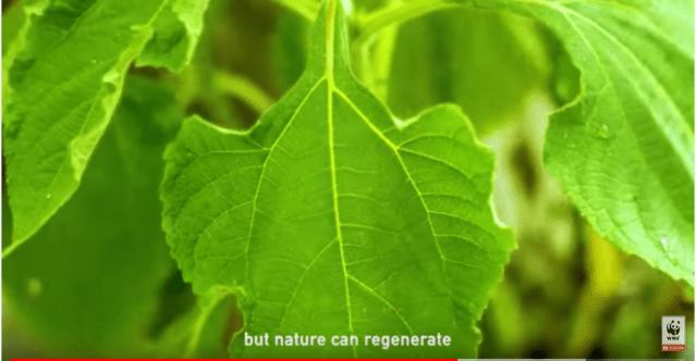 Screen Shot 2019-09-26 at 9.25.46 PM.png