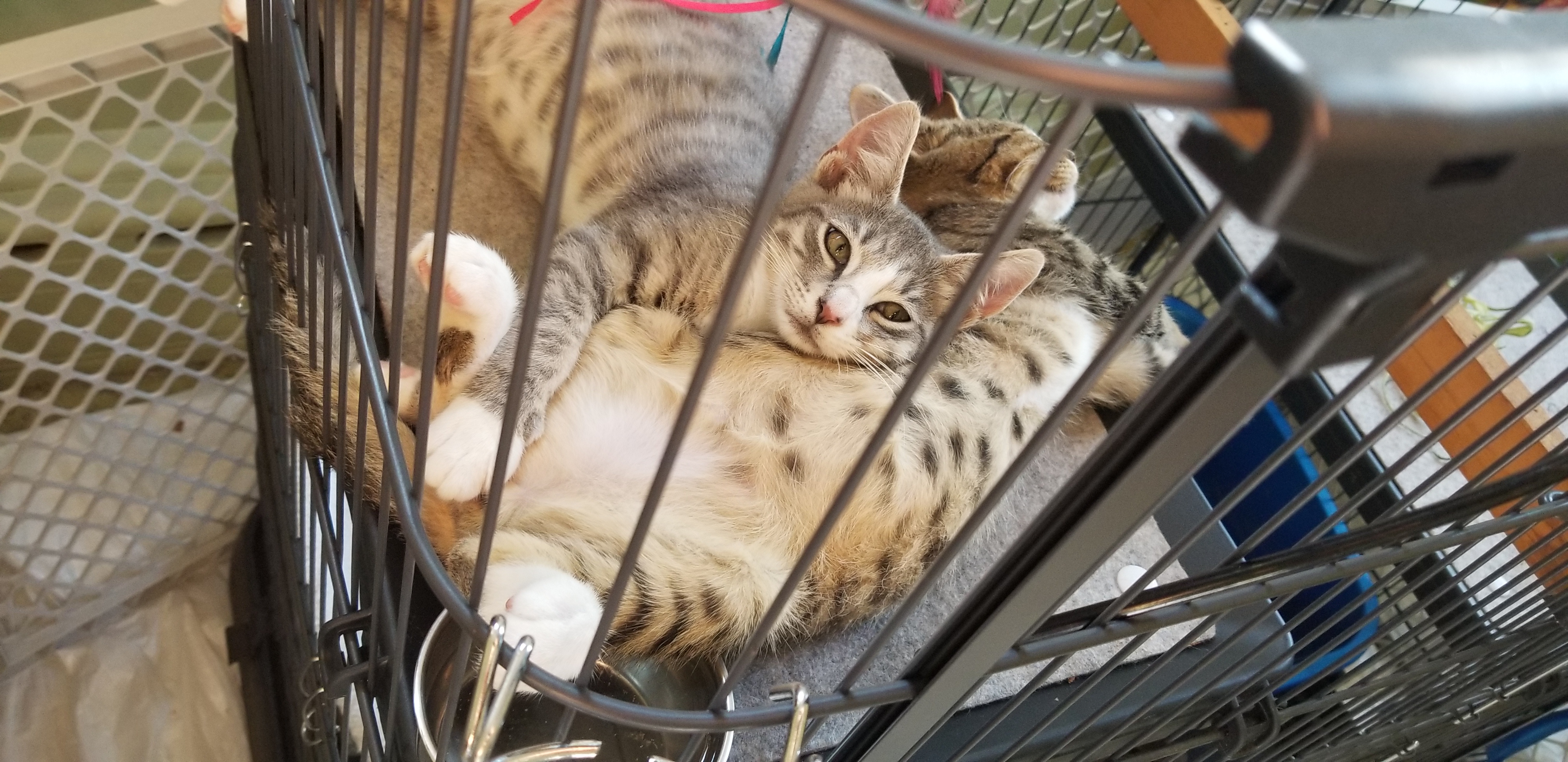 20200809_162621 (1).jpg